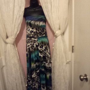 Beautiful Dress/Long Skirt